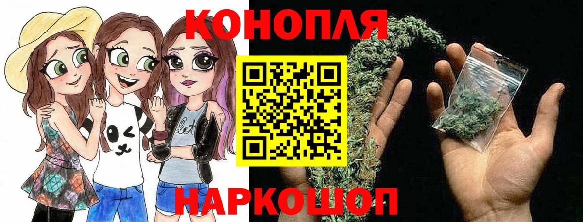 Каннабис гибрид Павловский Посад